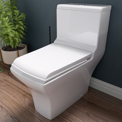 EAGO TB356 White Dual Flush High Efficiency Low Flush Eco-Friendly Toilet